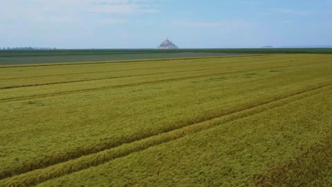 Aerial View of Golden Wheat Fields with Mont Saint Michel in Normandy, France Video stock 315544033