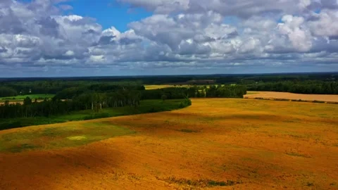 Aerial view of golden wheat fields and green forests under a cloudy sky. 動画素材 337684991