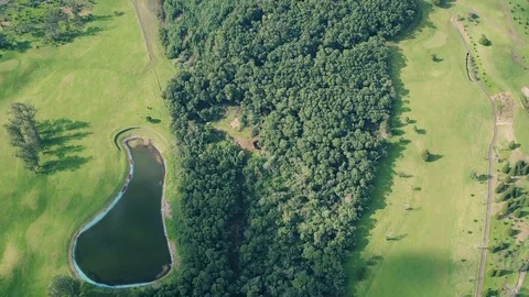 Aerial View of the Golf Course Stock Footage 72193874