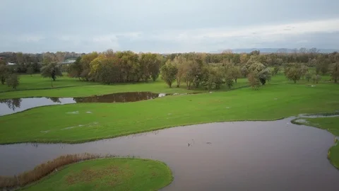 Aerial view of a golf course Stock Footage 120126120