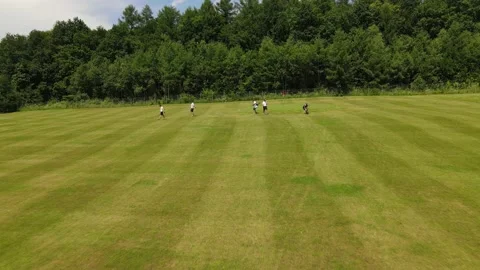 Aerial view of the Golf course Stock Footage 142877312
