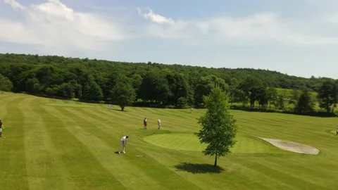 Aerial view of the Golf course Stock Footage 142888425