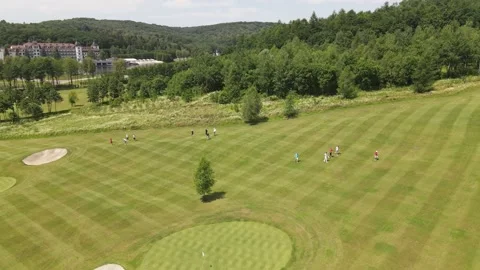 Aerial view of the Golf course Stock Footage 142896404