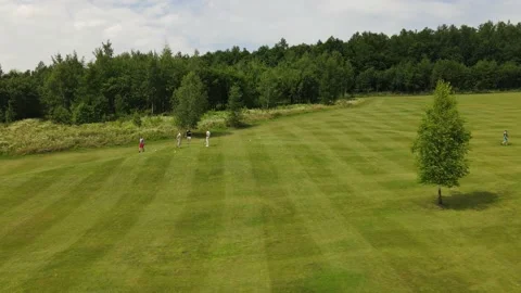 Aerial view of the Golf course Stock Footage 142903162