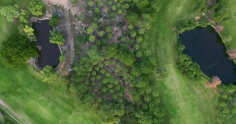 Aerial view. Golf course with green field in the valley. Green turf scenery. Vídeos de archivo 128283675