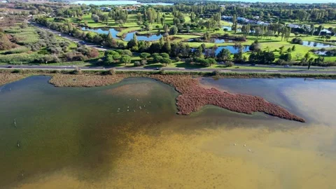 Aerial view of the golf course of la grande motte Stock Footage 221775358