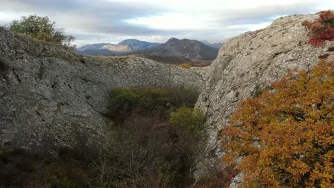 Aerial view of the gorge between the rocks at the bottom of which trees grow on Stock Footage 151139860