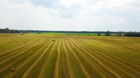 Aerial view of grain-binder on a wheat field Stock Footage 106024231