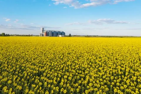 Aerial view  grain elevator Foto stock