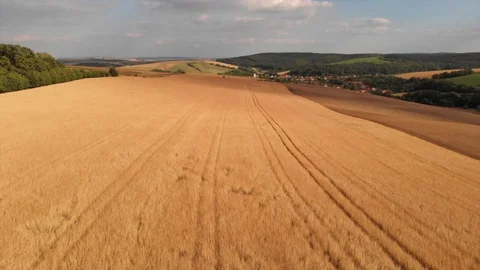 Aerial view of grain fields Stock Footage 95326684