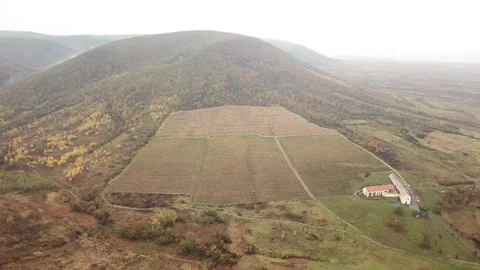 Aerial view of a grape field Vídeos de archivo 120418065