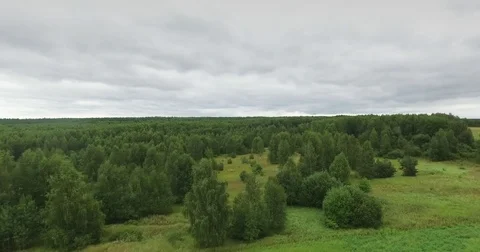 Aerial view on grass field Stock Footage 71667001