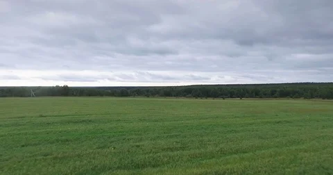 Aerial view on grass field Stock Footage 71667015