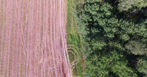 Aerial view on grass field Stock Footage 71667646