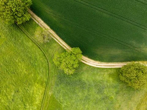 Aerial view grass fields divided with a horizontal path with curve Stock Photos
