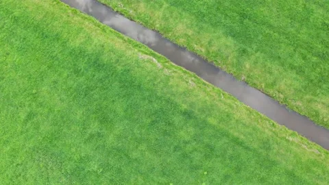 Aerial view of grass texture Stock Footage 152947926