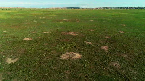 Aerial view of grassland Stock-Footage 138999866
