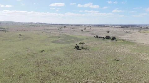 Aerial view of grasslands and flat rural terrain in Mount Cottrell, Australia 스톡 동영상 344909813
