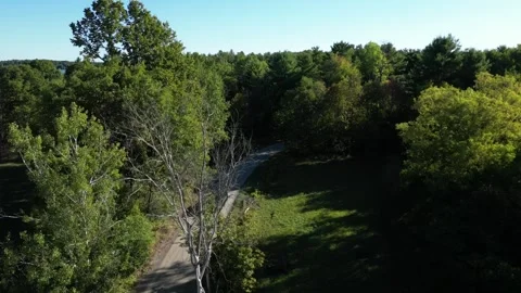 Aerial View of a Grassy Clearing Along a Forest Trail Stock-Footage 338324435