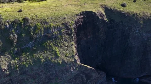Aerial View of Grassy Coastal Cliffs and Ocean in Crescent Head 스톡 동영상 341933216