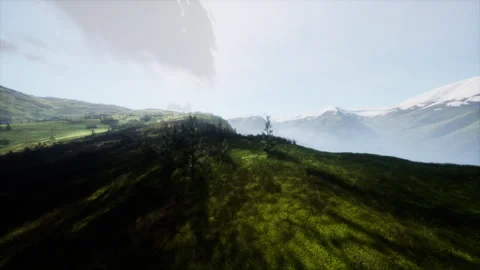Aerial View of Grassy Hill With Tree Stock Footage 303802693