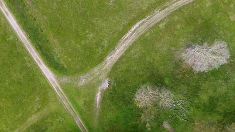 Aerial view of a grassy landscape with intersecting dirt paths, surrounded Stock-Footage 300198339