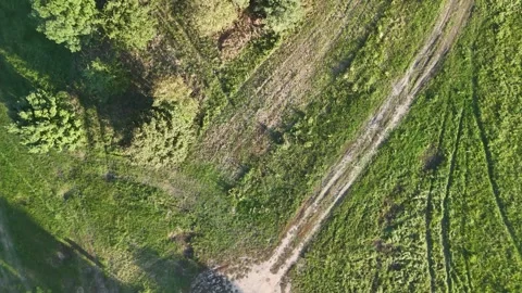 Aerial View of Grassy Path and Trees Video stock 290825500