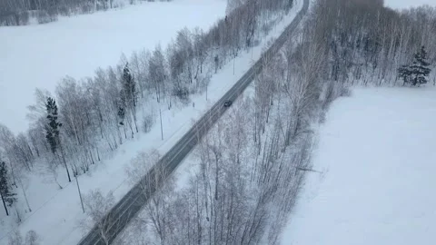 Aerial view of gray car driving on road in forest3 Stock Footage 88323643