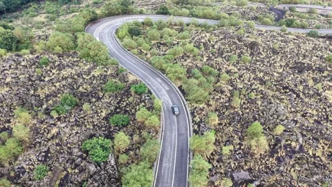 Aerial view of gray car driving along winding road surrounded by lush greenery Stock Footage 345255932