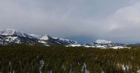Aerial view of a great expanse of Pine trees in winter 4k 24fps Stock Footage 72294434