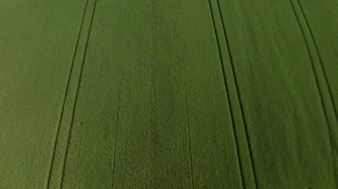 Aerial view of green  agricultural fields in  germany Stock Footage 63613221