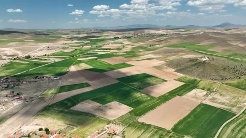 Aerial View of Green Agricultural Fields and Rural Tracks 库存影片 218583077