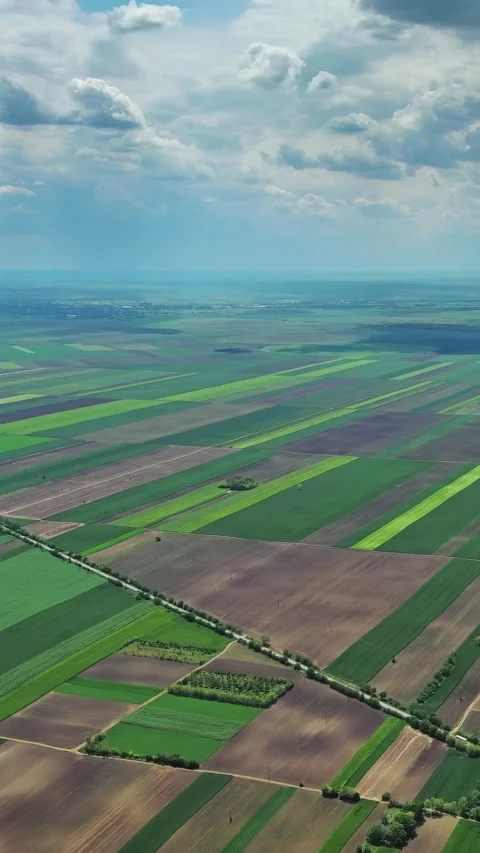 Aerial view of green agricultural fields and farmland Stock Footage 346654603