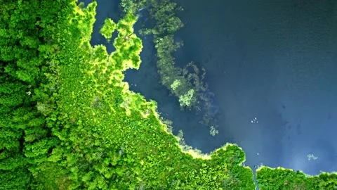 Aerial view of green algae on blue lake, Europe Stock Footage 135936391