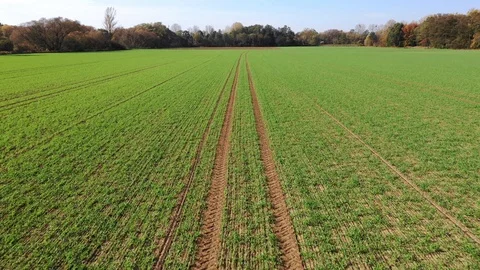 Aerial view of green arable fields. Stock Footage 118665996
