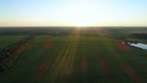 Aerial view green corn field in sunset or sunrise, drone shot landscape, sun Stock Footage 211987259