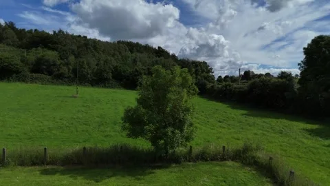 Aerial View of Green Countryside Fields and Forest Landscape Vídeo Stock 337398356