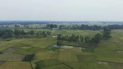 Aerial view of green farm fields, tree lines and small ponds across a quiet.. Stock Footage 338302441