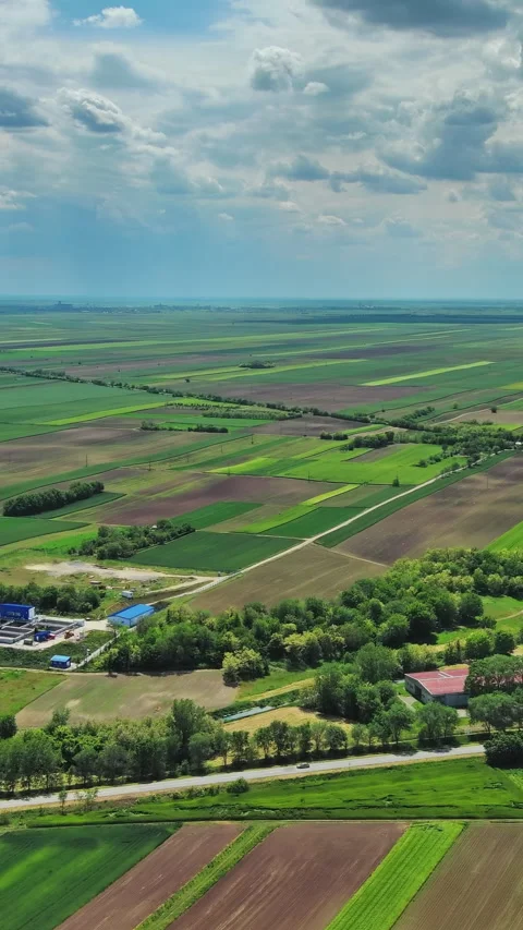 Aerial view of green farm fields with small village houses Stock Footage 346651679