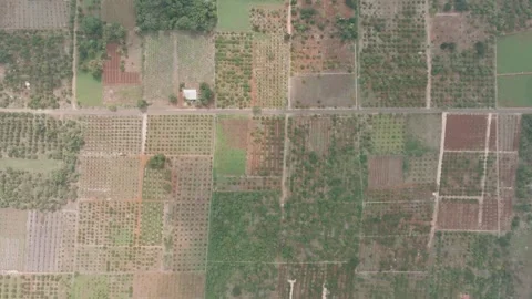 Aerial view of green farmland patchwork, Mexico. Stock Footage 284848534