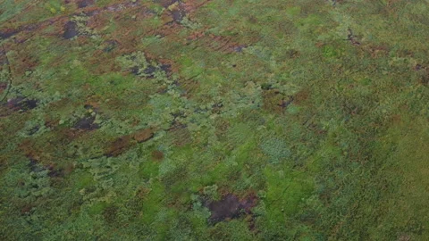 Aerial view of the green field Stock Footage 171148123