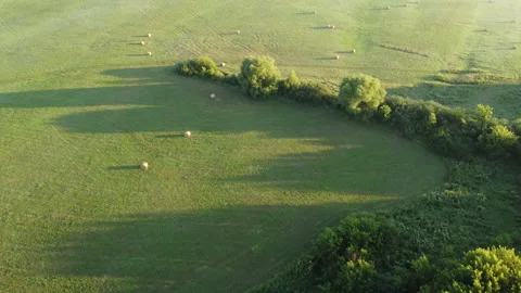 Aerial view of the green field Stock Footage 171148408