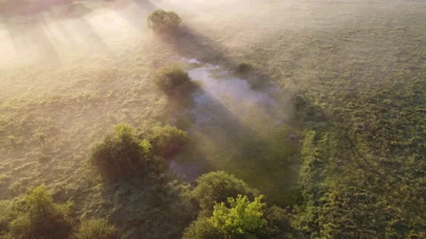 Aerial view of the green field Stock Footage 171152327
