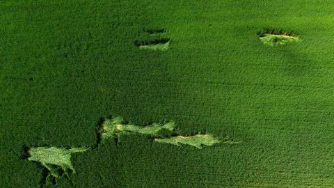 Aerial View Green Field Patterns Wind Turbines Rural Landscape Stock Photos