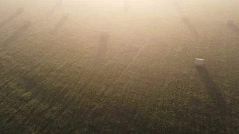 Aerial view of the green field of the stack Stock Footage 171147677