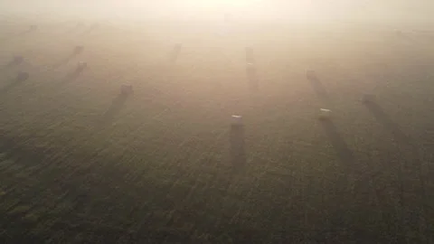 Aerial view of the green field of the stack Stock Footage 171148378