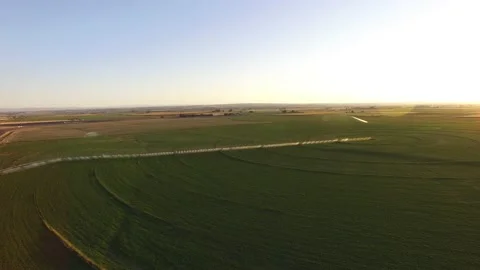 Aerial View Of Green Field At Sunrise Stock Footage