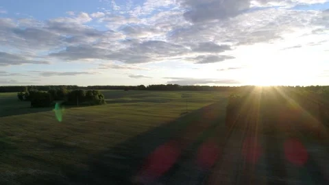 Aerial view of green fields against the sun in the beautiful morning of summer Stock Footage 168662859