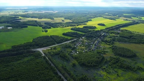 Aerial view of green fields and forests, village Stock Footage 134148805
