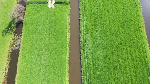 Aerial view of green fields and water texture Stock Footage 153053698